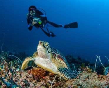 Diving on Gili Meno Island