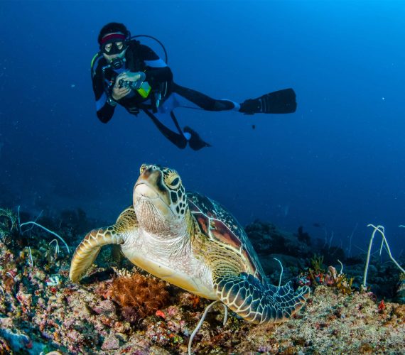 Diving on Gili Meno Island Diving on Gili Meno Island
