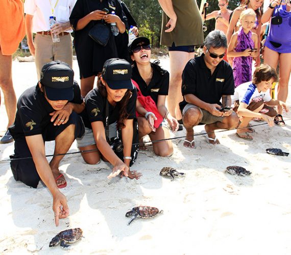 Turtle Sanctuary Turtle Sanctuary